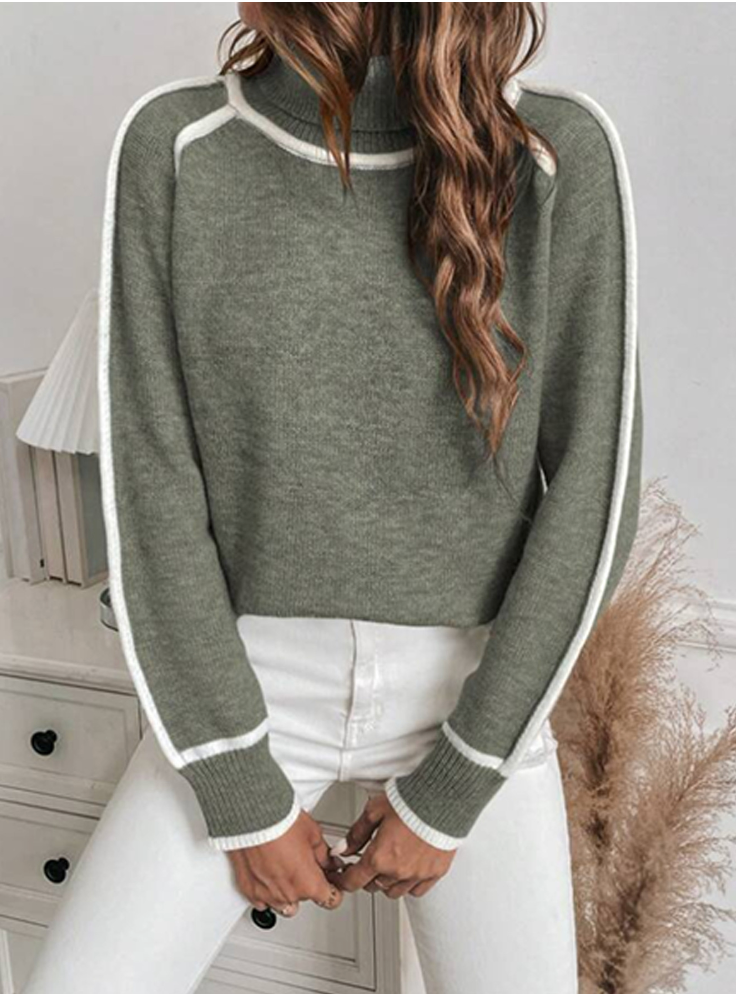 Comfortable Women's Turtleneck Sweater