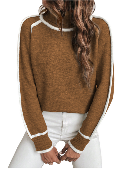 Comfortable Women's Turtleneck Sweater