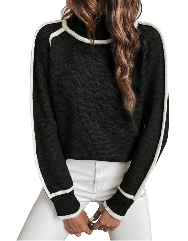 Comfortable Women's Turtleneck Sweater