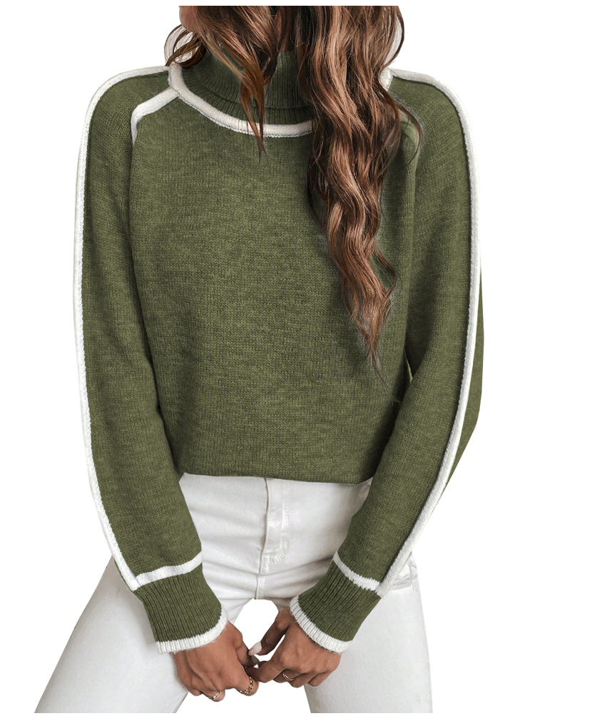 Comfortable Women's Turtleneck Sweater
