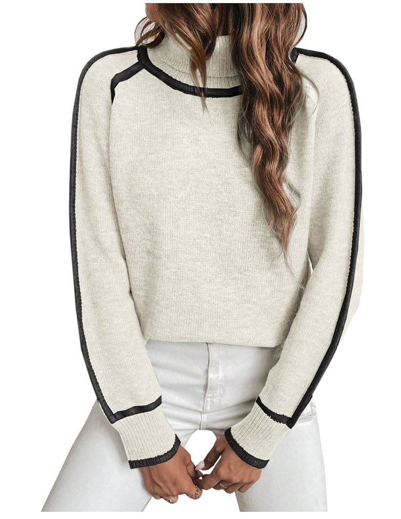 Comfortable Women's Turtleneck Sweater